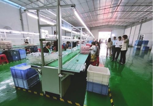 砥礪奮進(jìn)啟新程，鄉(xiāng)村振興謀新篇——浛洸鎮(zhèn)張陂村玩具加工廠隆重開業(yè)